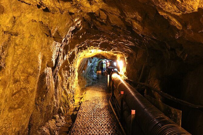 Private DMZ Peace Tour: 3rd Invasion Tunnel and Suspension Bridge - Why This Tour Offers Real Value