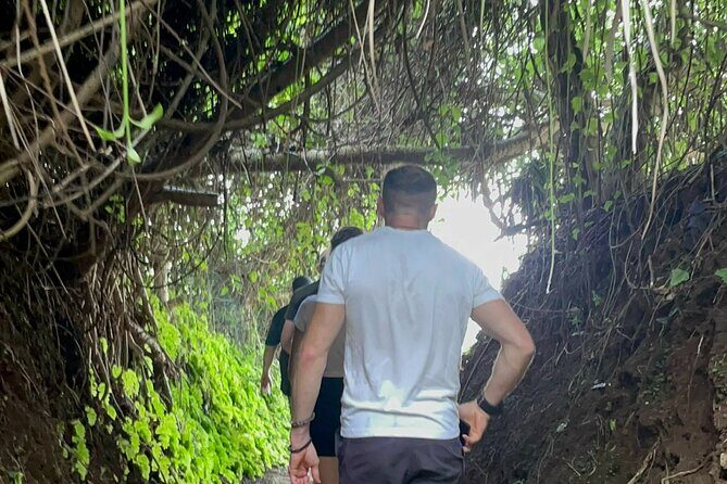 PRIVATE DMZ Tour from Hue - Half Day - Vinh Moc Tunnels - Final Thoughts – Is This the Right Tour for You?