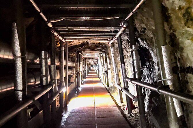 Private DMZ tour(Tunnel / Observation) with hotel pick up - Who Should Consider This Tour?