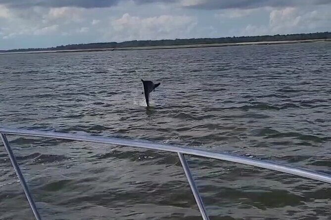 Private Dolphin Boat Tour in Hilton Head Island - Why It’s a Great Choice