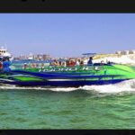 Private Dolphin Cruise in Destin holds 29 people - Who Will Love This Tour