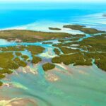 Private Dolphin Playground Safari - Why Choose This Tour?