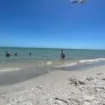 Private Dolphin & Sightseeing Boat Day Tour - FAQs