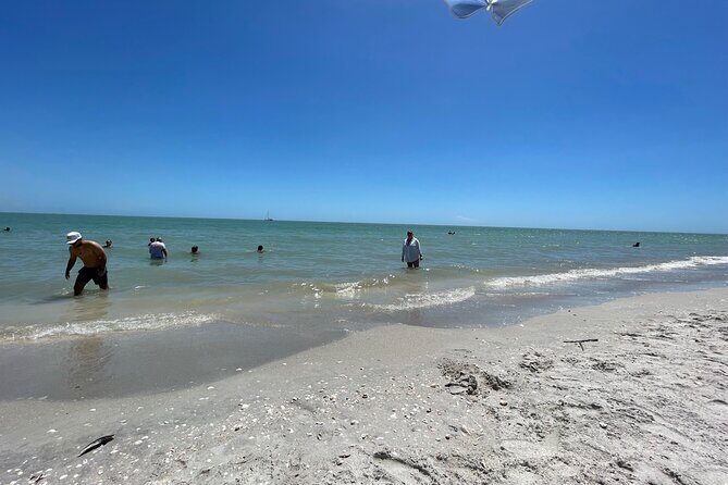 Private Dolphin & Sightseeing Boat Day Tour - FAQs