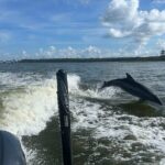 Private Dolphin Sightseeing Excursion - Who Should Consider This Tour?