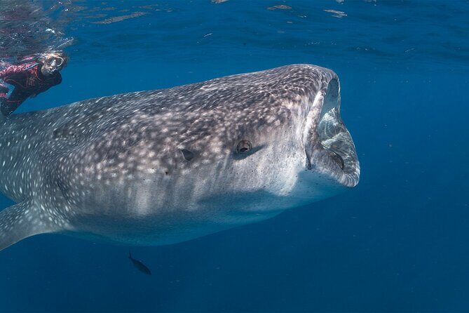 Private Driver english spoken - What You Can Expect from the Tour