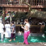 Private driver with City Tour in CAR - Exploring Colombo in Comfort and Style