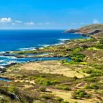 Private Driving Tour of Oahu Scenic South Shore - Why This Tour Is a Good Deal
