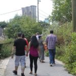 Private Dumbo & Brooklyn Heights Walking Tour - Who Will Love This Tour?