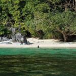 PRIVATE El Nido Tour D Island Hopping - An In-Depth Look at the El Nido Tour D Itinerary