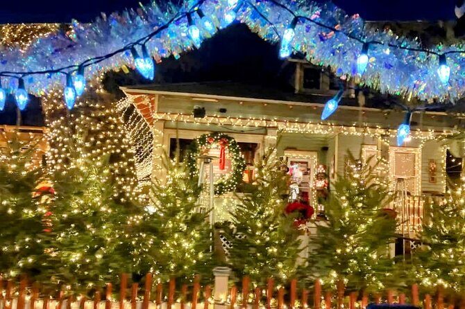 Private Electric Golf Cart Nights of Lights Tour up to 12 people - Who Will Love This Tour?