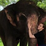Private Elephant Sanctuary - Who Will Love This Tour?