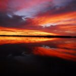 Private Everglades 10,000 Islands Photo and Birding Boat Safari - Who Would Enjoy This Tour?