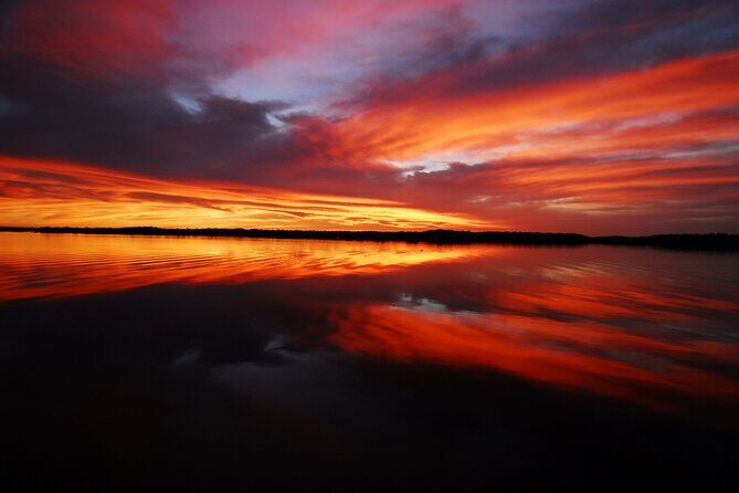 Private Everglades 10,000 Islands Photo and Birding Boat Safari - Who Would Enjoy This Tour?
