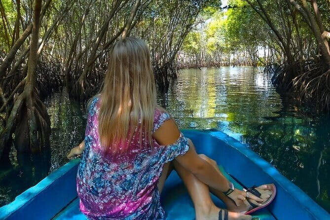 Private Excursion to Galle - Who Would Love This Tour?