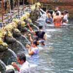 Private Experience: Bali Village Tour - The Starting Point: Penglipuran Village