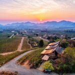 Private Experience of Wine Tasting Hua Hin in Monsoon Valley - Who Is This Tour Best Suited For?