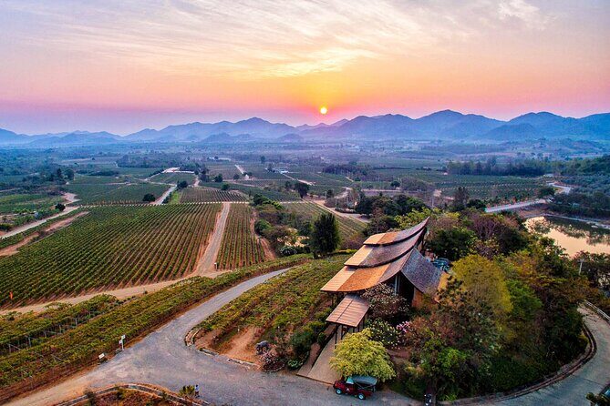 Private Experience of Wine Tasting Hua Hin in Monsoon Valley - Who Is This Tour Best Suited For?