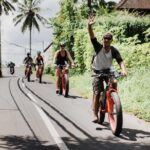 Private Fat Tire E-Bike Tour in Ubud - Who Will Love This Tour?