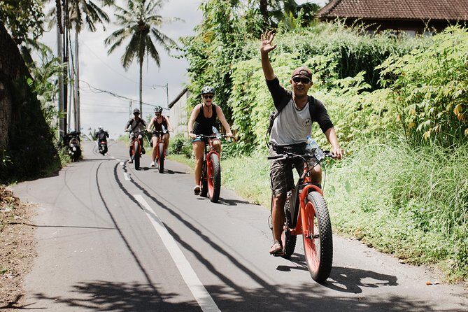Private Fat Tire E-Bike Tour in Ubud - Who Will Love This Tour?
