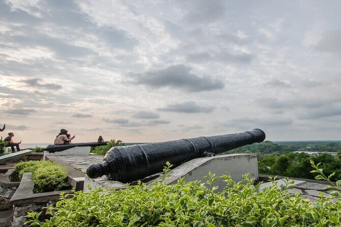 Private Fireflies Tour with Blue Tears and Seafood Dinner - Why This Tour Offers Great Value