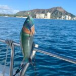 Private Fishing Charter for Family and Friends in Honolulu - The Value of This Experience