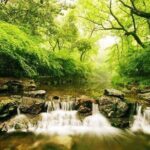 Private Flexible Hangzhou Layover Tour in Your Way - Final Thoughts