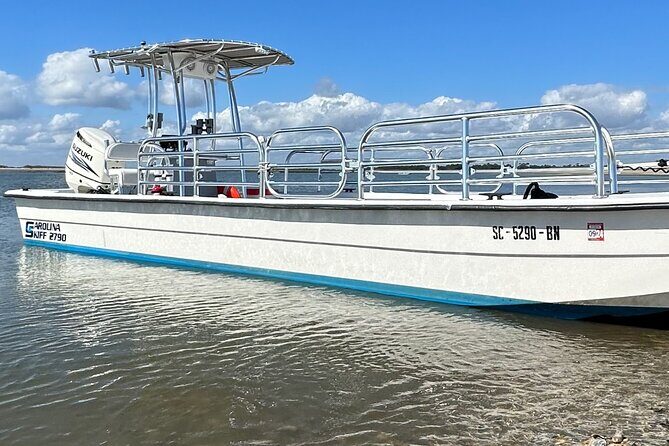 Private Folly Beach Dolphin Cruise (up to 12) - Wildlife and Birdwatching Opportunities