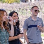 Private Four-Hour Wine Tasting Adventure of Temecula Valley - The Complete Guide to Your Temecula Wine Adventure