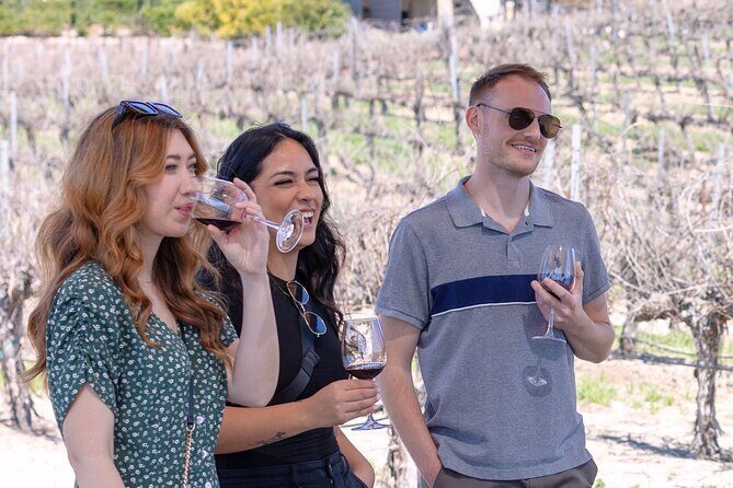 Private Four-Hour Wine Tasting Adventure of Temecula Valley - The Complete Guide to Your Temecula Wine Adventure