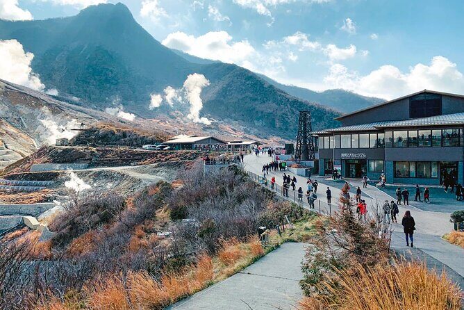 Private Fuji Hakone Tour Charter with English Speaking Driver - Practical Details and Value