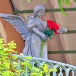 Private Full-Day City, Swamp, and Plantation Tour - Whats Included & Whats Not