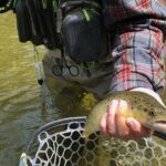 Private Full Day Fly Fishing For Beginners and Experienced Anglers - Who Will Love This Tour?