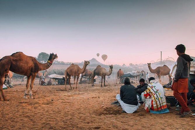 Private Full Day Jaipur Sightseeing Tour By Tuk-Tuk (Rickshaw) - The Real Deal Behind the Tour