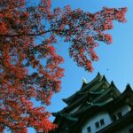 Private Full Day Nagoya Tour - Practicalities and Considerations