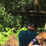 Private Full Day Sepilok Orang Utan, Bornean Sun Bear and Rainforest Discovery Center Tour - Who Will Love This Experience?