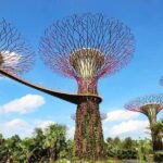 Private Full Day Singapore City Tour with Professional Tour Guide - Who Is This Tour Best For?