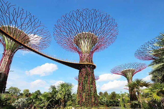 Private Full Day Singapore City Tour with Professional Tour Guide - Who Is This Tour Best For?