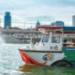 Private Full Day Singapore Highlights Tour - Who Will Benefit Most from This Tour?