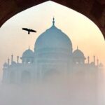 Private Full-Day Taj Mahal and Agra Fort Tour from New Delhi - Who Should Book This Tour?