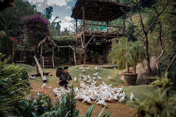 Private Full Day Tour in Sapa by Car - How the Tour Works in Practice