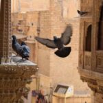 Private Full-Day Tour of Jaisalmer with Guide - Who Would Love This Tour?
