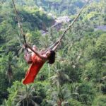 Private Full Day Tour to Ubud Highlights with Giant Swing - What’s Included and What’s Not