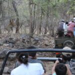 Private Full Day Trip to Ranthambore - In-Depth Review: Making the Most of Your Jaipur to Ranthambore Day Trip