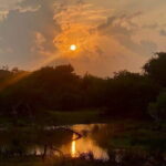 Private Full Day Udawalawe Safari Trip with Lunch - FAQ