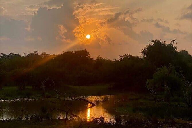 Private Full Day Udawalawe Safari Trip with Lunch - FAQ