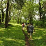 Private Full Day Wild Trails at Thekkady - Who Should Consider This Tour?