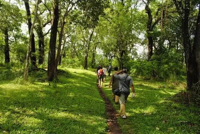 Private Full Day Wild Trails at Thekkady - Who Should Consider This Tour?