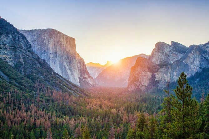 Private Full Day Yosemite National Park Tour from San Francisco - What the Reviews Say