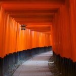 Private Fushimi Inari sightseeing and Nishiki Food Tour - The Sum Up